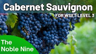 The Noble Nine  Cabernet Sauvignon For WSET Level 3 [upl. by Messab]