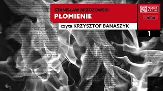 Płomienie czI 01  Stanisław Brzozowski  Audiobook po polsku [upl. by Llerdna]