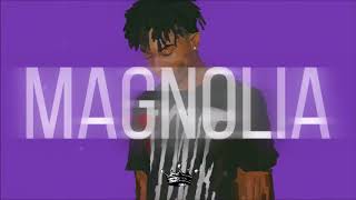 Playboi Carti Magnolia Instrumental Prod KVNG Zuzi [upl. by Euqinwahs129]