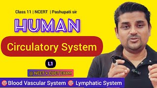 L1 Human Circulatory System  Class 11 NCERT  NEET amp CUET EXAMS  Pashupati Sir [upl. by Mcleroy]