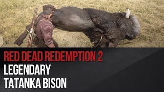 Red Dead Redemption 2  Legendary Tatanka Bison [upl. by Eemiaj]