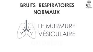 Bruits Respiratoires  Ecoutez le Murmure Vésiculaire [upl. by Moshell]