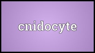 Cnidocyte Meaning [upl. by Irbmac]