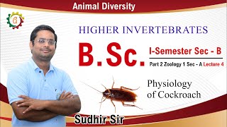 Physiology of Cockroach  Higher Invertebrates  BSc ISemester Zoology Sec B Lecture 4 [upl. by Kirit]