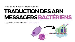 TRADUCTION CHEZ LES PROCARYOTES  ACIDES NUCLEIQUES [upl. by Eradis]