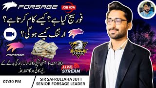 Forsage Busd Complete Plan By Safrullaha Jutt Forsage income [upl. by Biddle156]