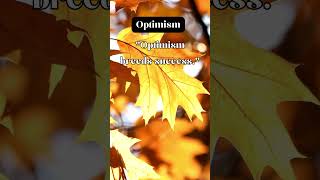 Motivational  Lewis Howes  Optimism inspirationalquotes quote shorts [upl. by Aderf]