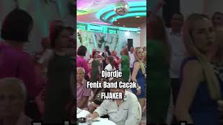 Menadzer 0653718370 Djordje amp Fenix Band Cacak  Narodna Zurka Na Svadbi orkestar bendovizasvadbe [upl. by Zorah258]