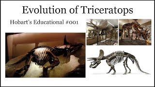 Evolution of Triceratops [upl. by Etennaej]