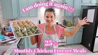 Chicken Meal Freezer Day Tons of New Recipes Monthly Freezer Meal Prep [upl. by Lussier]