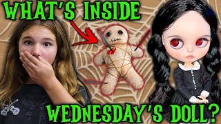 Whats Inside Wednesday Addams Meet Our New Pets [upl. by Raymonds125]