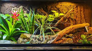 Naturalistic BioActive Enclosure For A Ball Python [upl. by Dorreg]