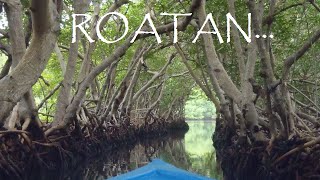 Roatan Tour [upl. by Dyolf]