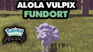 So bekommt ihr Alola Vulpix in Pokémon Legenden Arceus [upl. by Grishilda]