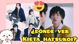 SUB ESP  ENG SUB Â¿DÃ“NDE VER LA SERIE quotKIETA HATSUKOI Un cuadrado amoroso ðŸ˜…ðŸ’— [upl. by Halford5]