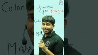 PLANT KINGDOM  Rapid BIOLOGY Class 11  By ASHUTOSH SIR [upl. by Nomyaw]