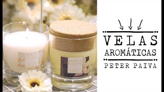 Vela Aromática  Peter Paiva [upl. by Hassett491]