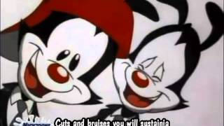 Animaniacs  Dot The Macadamia Nut With lyrics [upl. by Nnyltiac427]