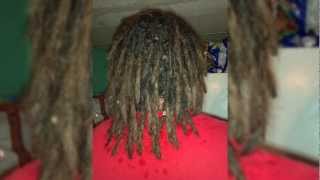 Backcombed amp Interlocked Dreadlocks User Submitted Dreads [upl. by Allwein]