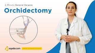 Orchidectomy  Surgery Video Lectures  Medical Student Education  VLearning [upl. by Justinian352]