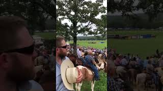 National Championship Chuck Wagon Races Clinton AR GOD BLESS AMERICA [upl. by Anohsal]