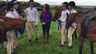 Eglinton Hunt on their way to HOYS… [upl. by Astra]