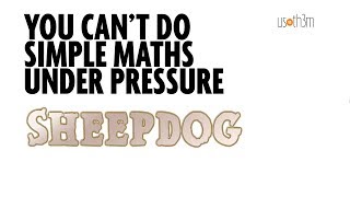 You Cant Do Simple Maths Under Pressure Sheepdog [upl. by Chicoine156]