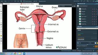 Anatomy REVISIONIntroductionampGeneral EmbryologyDrAhmed Farid [upl. by Yevad369]