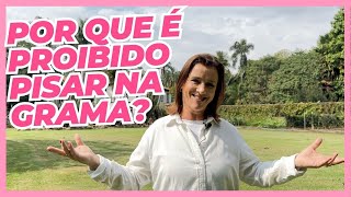 Por Que é PROIBIDO Pisar na Grama  Cris Conta um Conto [upl. by Harraf]