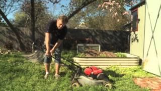 Process Documentary  Mowing the Lawn [upl. by Aihsenot]