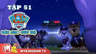 ĐỘI CHÓ CỨU HỘ PAW PATROL MINI  Tập 51  Phim hoạt hình [upl. by Jayne]