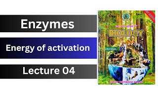 energy of activation  activation energy  enzymes  class 11 biology Sindh board new book [upl. by Hirza]