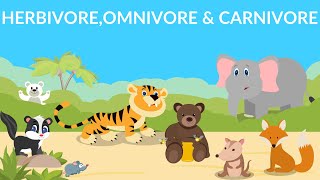 Herbivores  Carnivores  Omnivores  Types of Animals [upl. by Gnal]