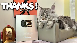 Thank You for the Silver Play Button Award [upl. by Eirotal933]