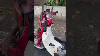 Astrea 800 Merah Original [upl. by Adrahc737]