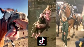 Horse Videos That Went Viral 1 [upl. by Ilsel982]