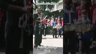 Pellicer Marching Band [upl. by Esilahc617]