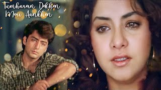 Tumhein Dekhe Meri  Rang 1993  Alka Yagnik  Kumar Sanu  P Sunanda  Sad Hindi Song [upl. by Eenet]