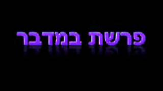 קריאה בתורה פרשת במדבר נוסח ספרדי ירושלמי Bamidbar [upl. by Afatsum939]