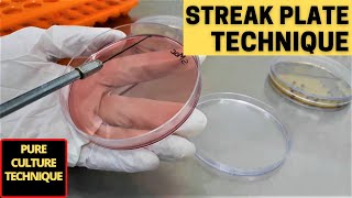 Streak Plate Technique for The Isolation of Pure CultureA Complete Procedure Microbiology [upl. by Sel319]