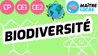 La biodiversité CE2  CE1  CP  Cycle 2  Questionner le monde  Le monde du vivant [upl. by Botnick]