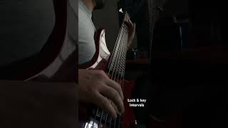 Lock amp Key  intervals Bass cover bassist bass metal prog [upl. by Augustus275]