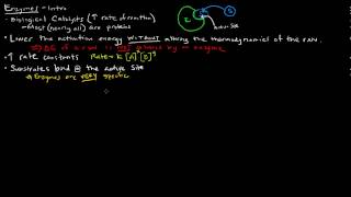 Enzymes Part 1 of 5  Introduction [upl. by Ahsinert]