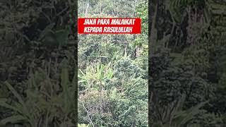 janji 4 malaikat kepada Rasulullah motivasihidup inspirasi shortvideo [upl. by Acireit608]