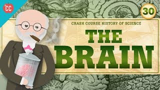 The MindBrain Crash Course History of Science 30 [upl. by Etteneg]