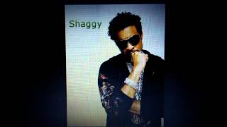 Shaggy  long time street bullies riddim [upl. by Coben594]