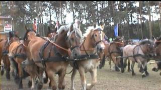 ZEHNSPÄNNERTITANEN DER RENNBAHN 2011 [upl. by Orsola399]