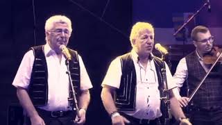 Vasilenko amp Hrib ft Stropkoviani  Ci tebe Haničko LIVE  Rusínsky festival 2020 [upl. by Melburn]