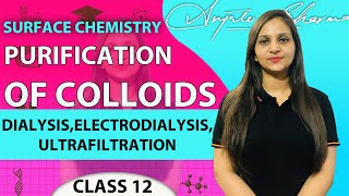 PURIFICATION OF COLLOIDS  DIALYSISELECTRODIALYSISULTRAFILTRATIONSURFACE CHEMISTRY  CLASS 12 [upl. by Laon]