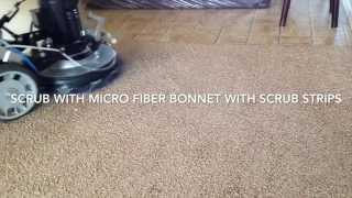 Trinity carpet machine cleaning video [upl. by Drobman228]